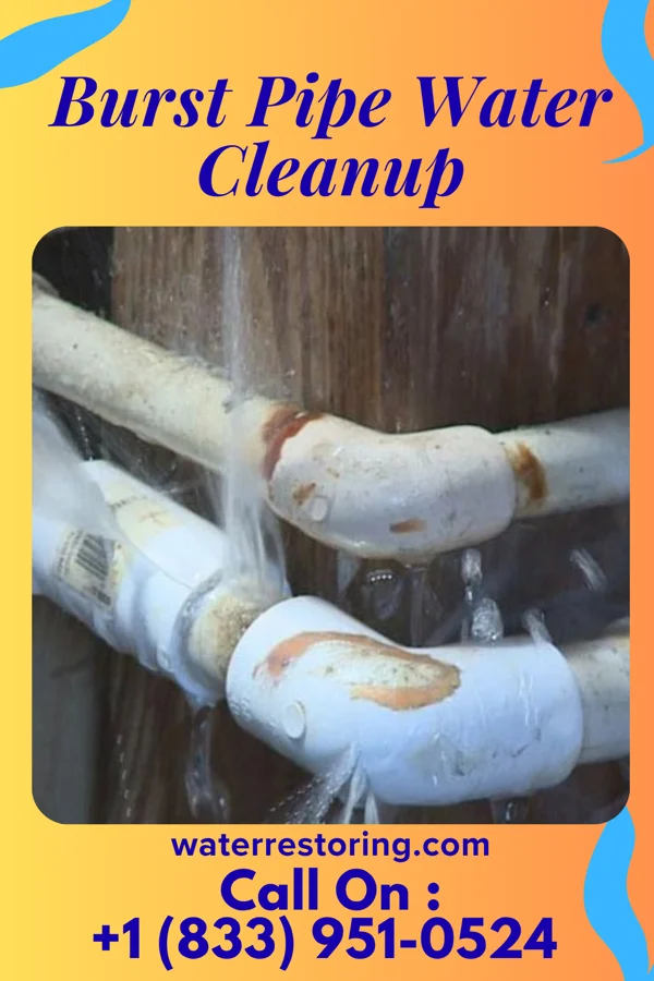 Burst Pipe Water Cleanup in East Kapolei, HI