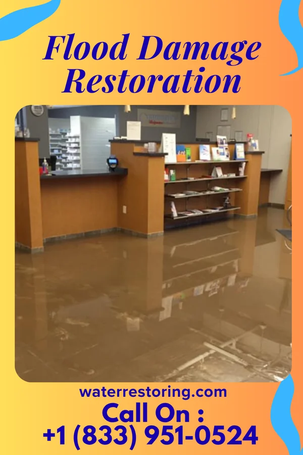 Flood Damage Restoration in East Kapolei, HI