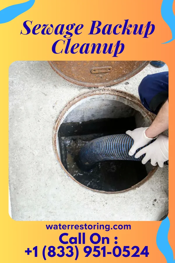 Sewage Backup Cleanup in East Kapolei, HI