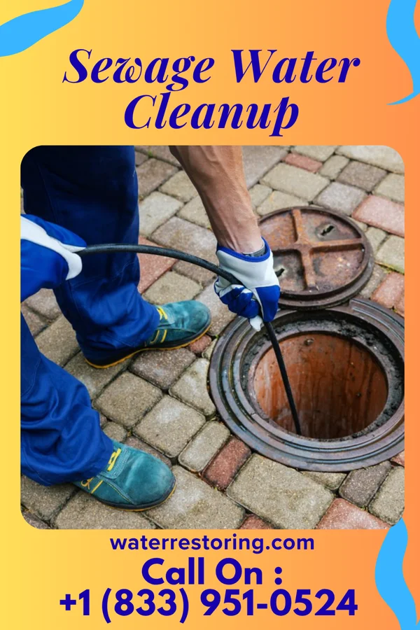 Sewage Water Cleanup in East Kapolei, HI