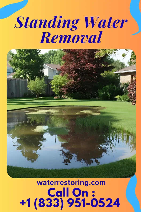Standing Water Removal in East Kapolei, HI